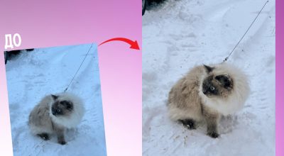 Фотографии в шоке: Как универсальный промт превращает ваши снимки в произведения искусства