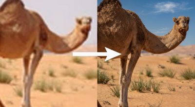 Как значительно улучшить качество смазанного фото за считанные минуты