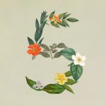 Новая эра в программировании: представление Claude Sonnet 5