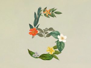 Новая эра в программировании: представление Claude Sonnet 5