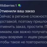 Wildberries начинает отменять заказы из-за проблем с топливом в России