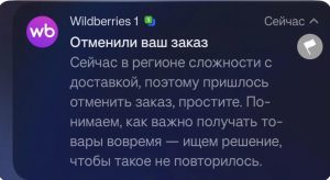 Wildberries начинает отменять заказы из-за проблем с топливом в России