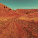 Лучшие фотографии конкурса iPhone Photography Awards: Победители из России
